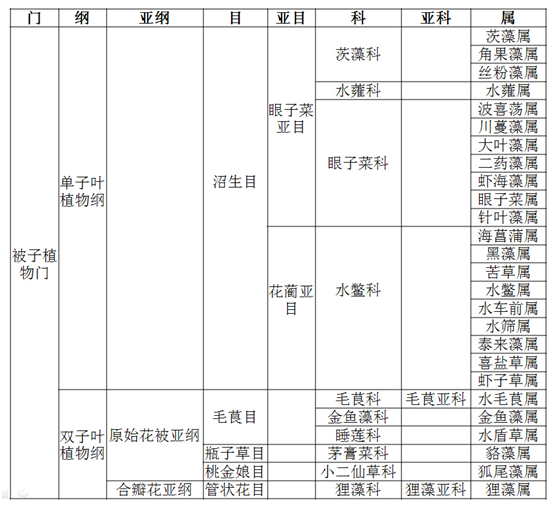 表    沉水植物科属在植物界中的地位